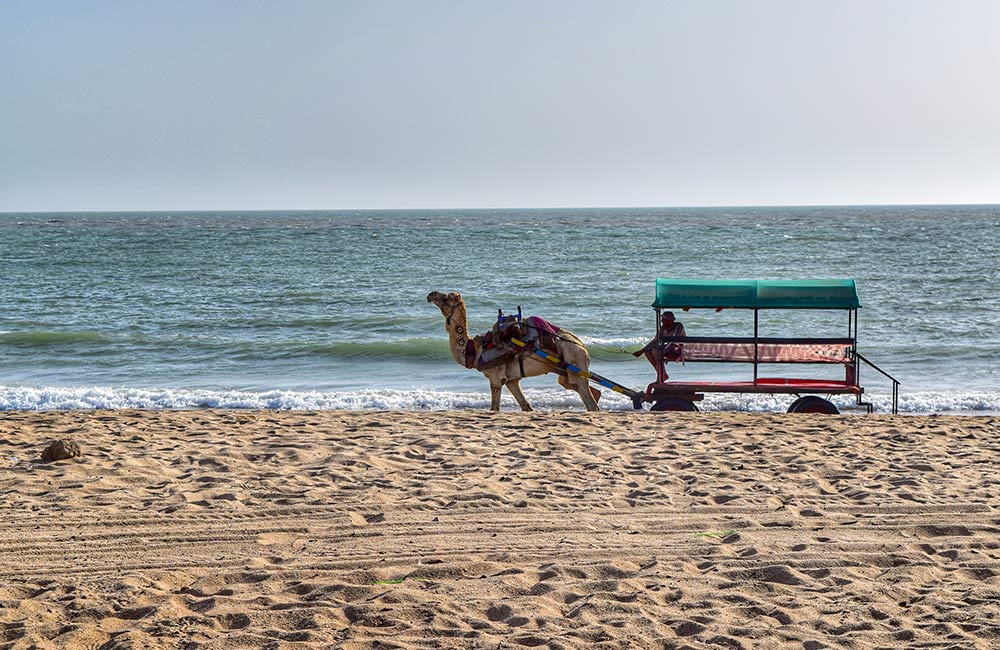 Mandvi Beach