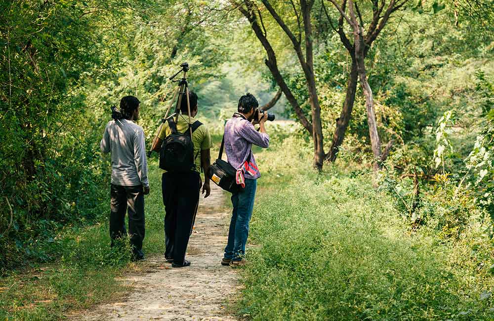 Nawabganj Bird Sanctuary, Lucknow