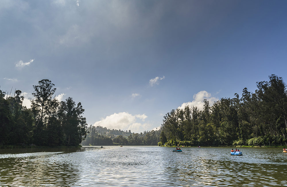 Ooty Lake, Ooty