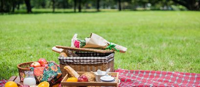Top 7 Picnic Spots in Chandigarh
