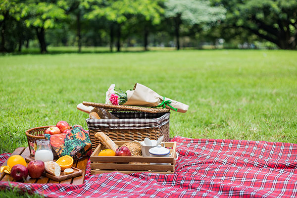 Top 7 Picnic Spots in Chandigarh