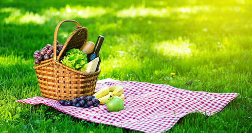 13 Top Picnic Spots in and around Mahabaleshwar in 2024