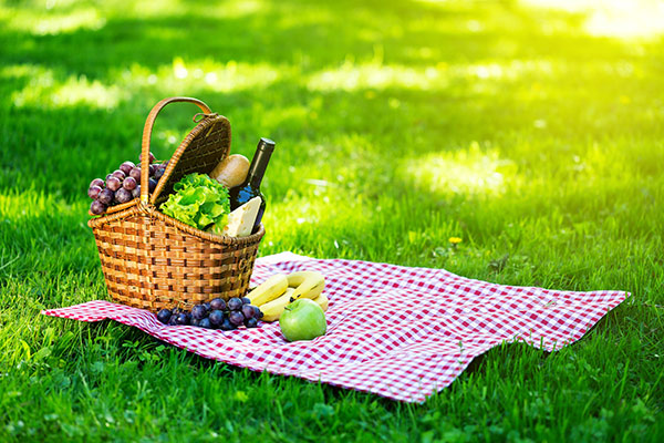 13 Top Picnic Spots in and around Mahabaleshwar