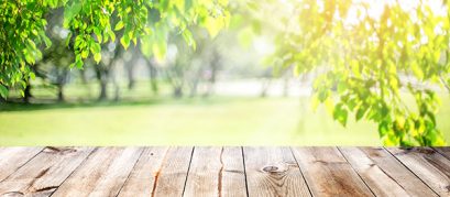 Top Picnic Spots in and around Patna for Fun Seekers