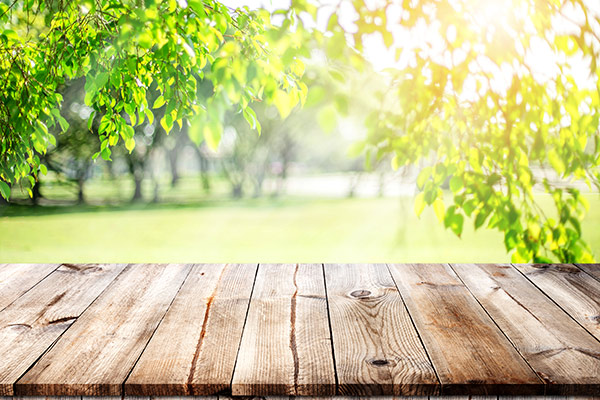 banner-image