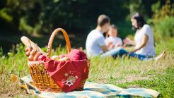15 Picnic Spots in and around Chennai for Endless Fun