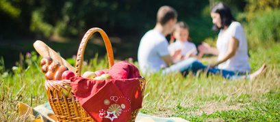 15 Picnic Spots in and around Chennai for Endless Fun