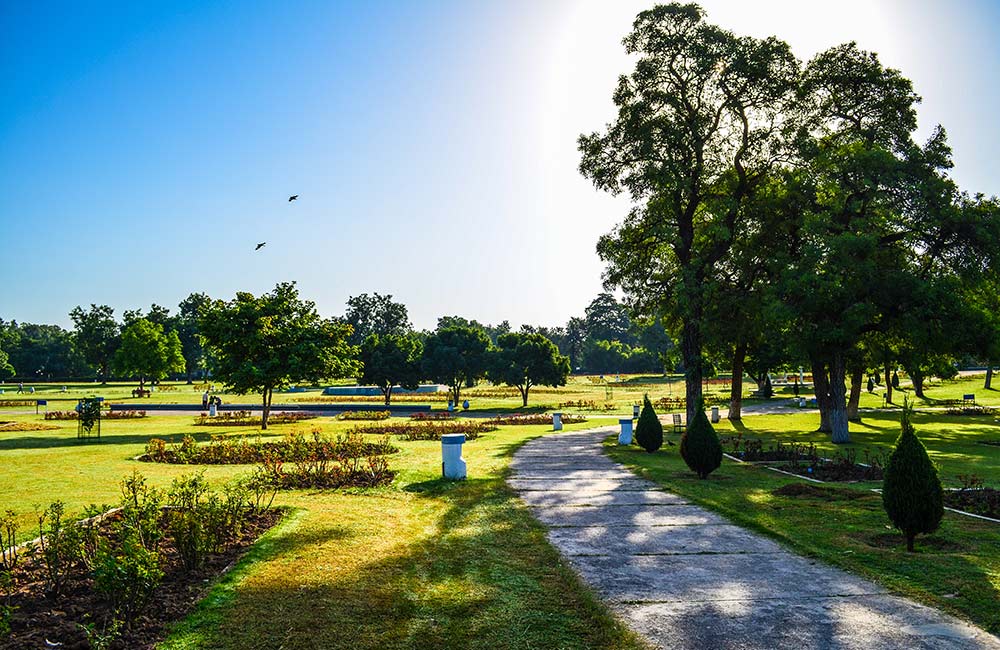 Zakir Hussain Rose Garden