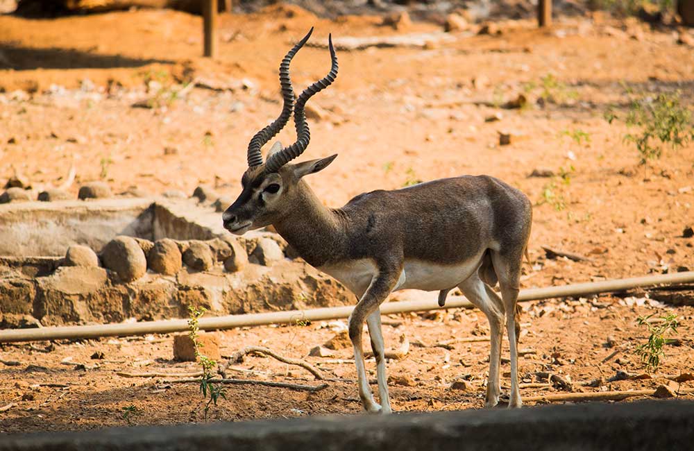 Best Time to Visit Chennai