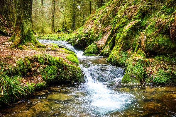 8 Waterfalls in and around Ooty Worth Visiting