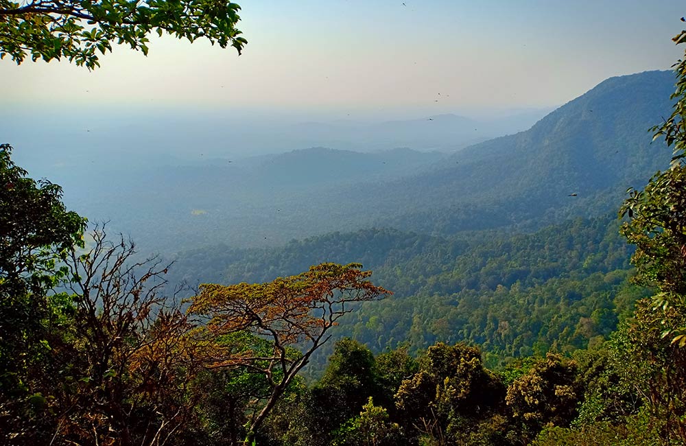 Agumbe