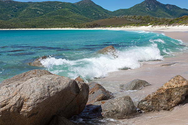 banner-image