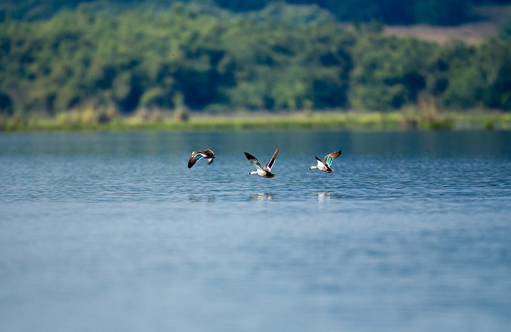 Dhauj Lake, Faridabad