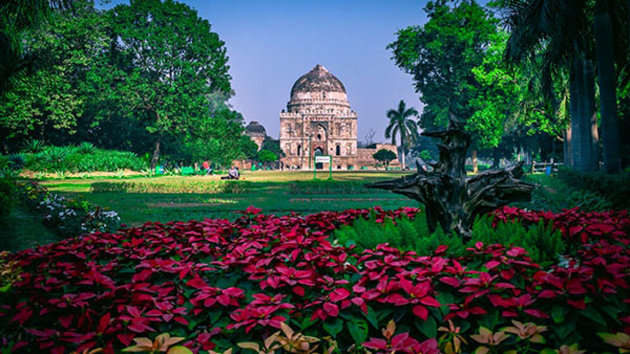 Best Couples Places In Delhi 2022 Know Romantic Places In Delhi r Lodhi Garden