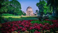 Lodhi Gardens Delhi