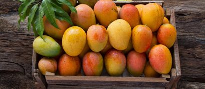 Delhi Set to Welcome the ‘King of Fruits’ with the 31st Edition of Mango Festival