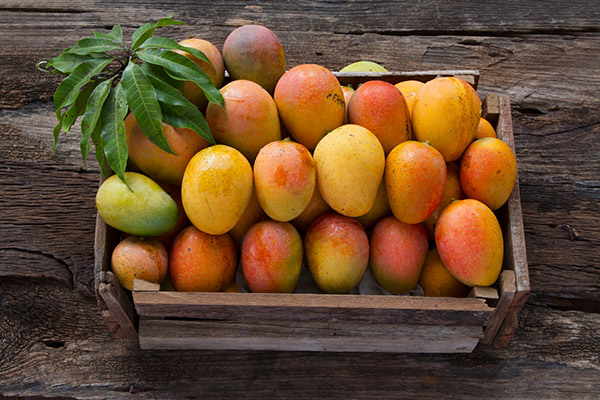 Mango Festival