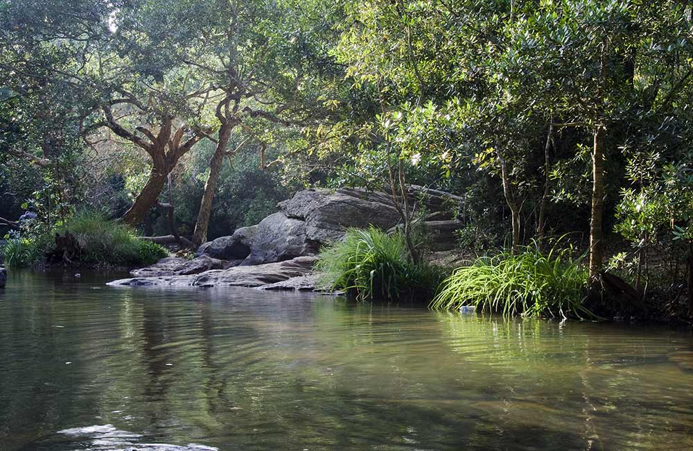 Nisarga Dhama, Mangaluru