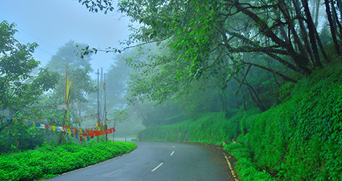 16 Top Things to do in Gangtok: Fun Activity list & Location