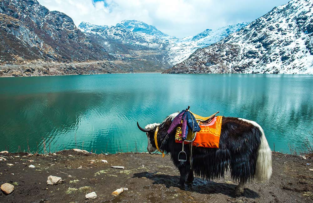 Tsomgo Lake, Gangtok