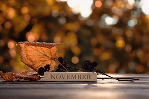 10 Scenic Places to Visit in November