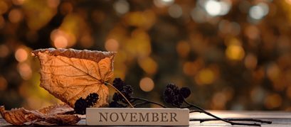10 Scenic Places to Visit in November