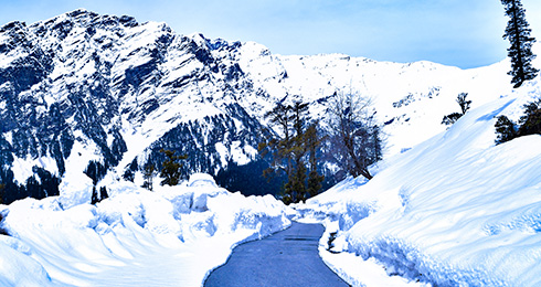 10 Best Things to Do in Manali 2024: Updated Activities list