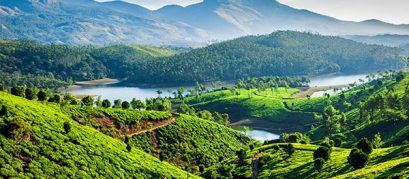Unmissable Things to Do in Munnar