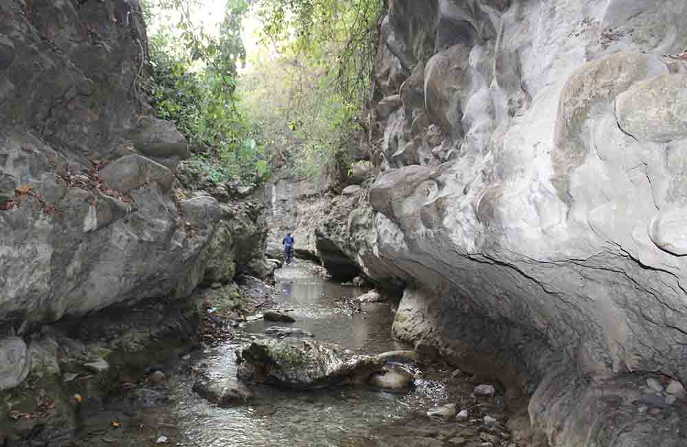 Dehradun