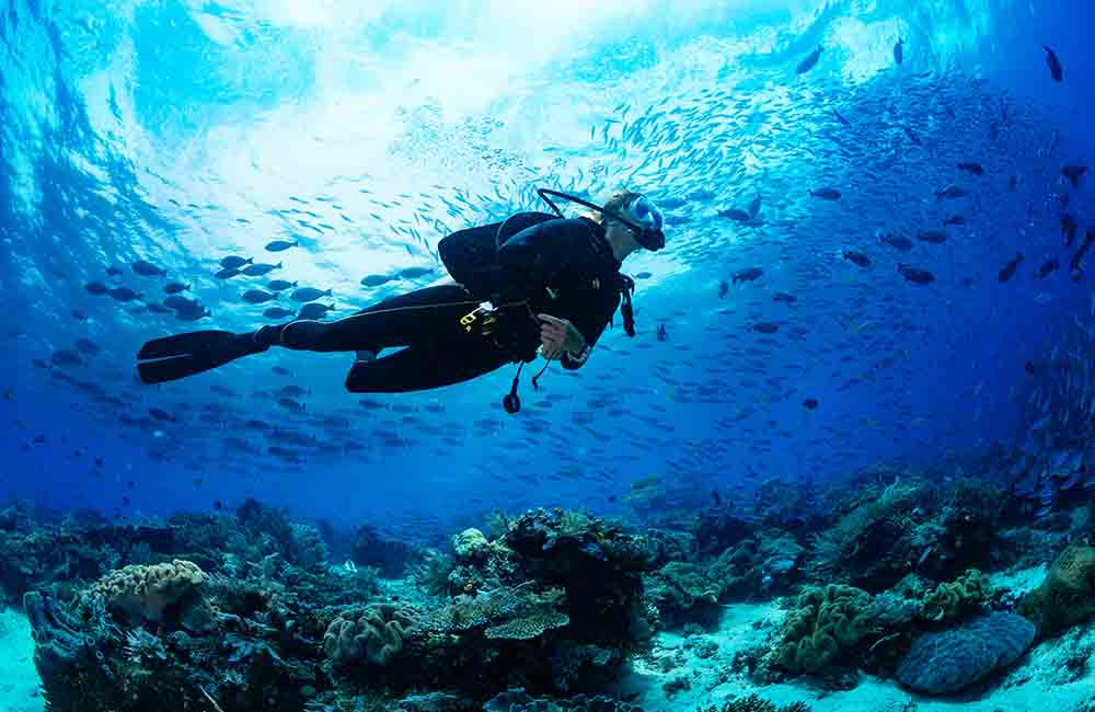 Havelock Island