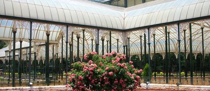 2019 Independence Day Lalbagh Flower Show