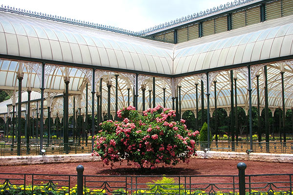 Independence Day Lalbagh Flower Show