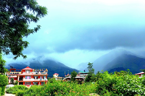 banner-image
