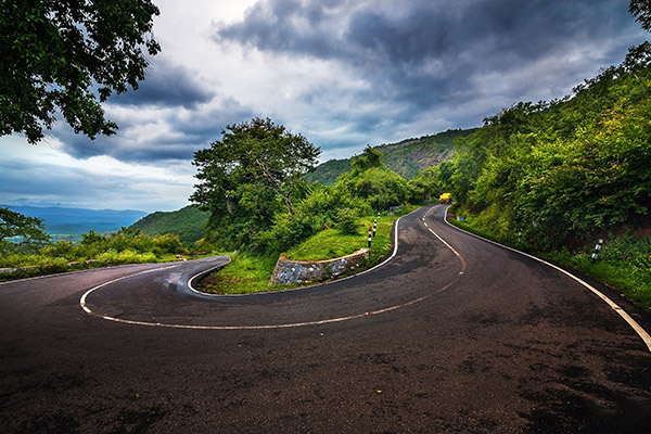 banner-image