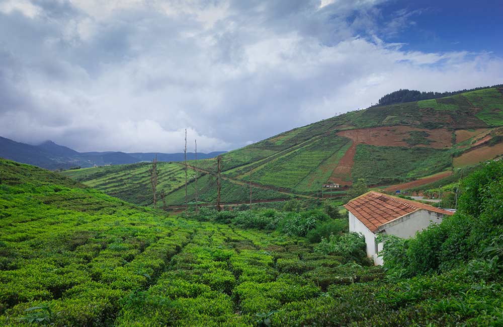 Coorg | #1 of 30 Places to Visit in South India
