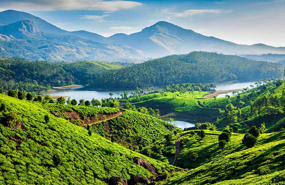 Munnar | #14 of 30 Places to Visit in South India