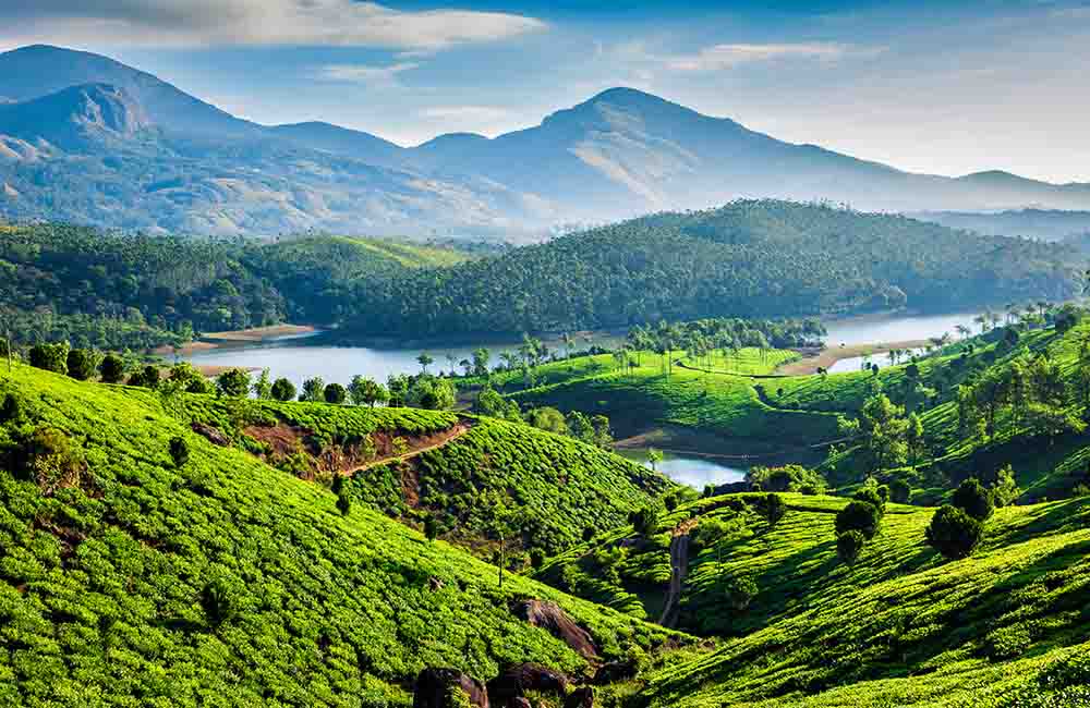 Munnar, Kerala