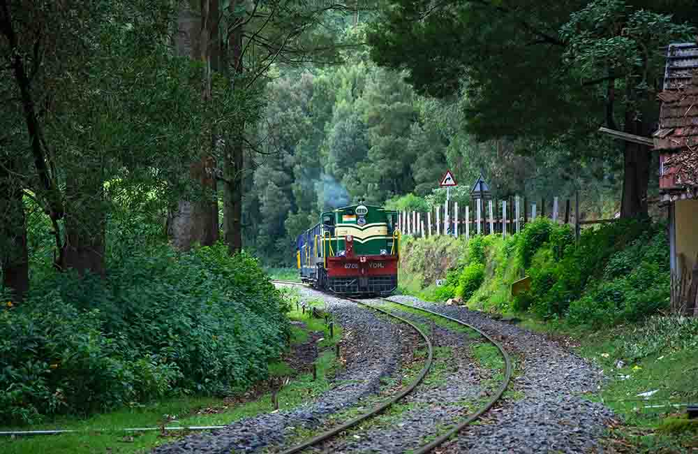 Ooty, Tamil Nadu