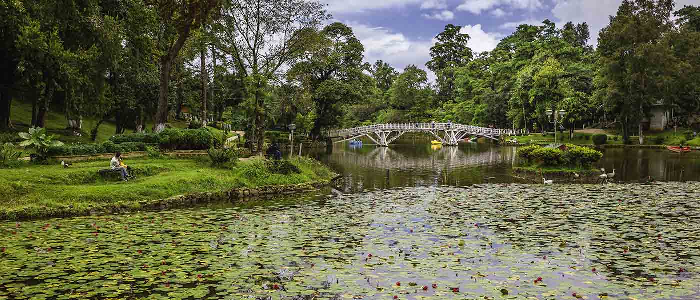 best tourist state in north east india banner-image