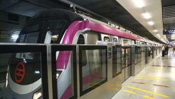 Magenta Line