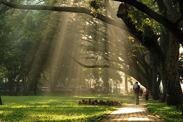 banner-image
