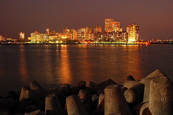 banner-image