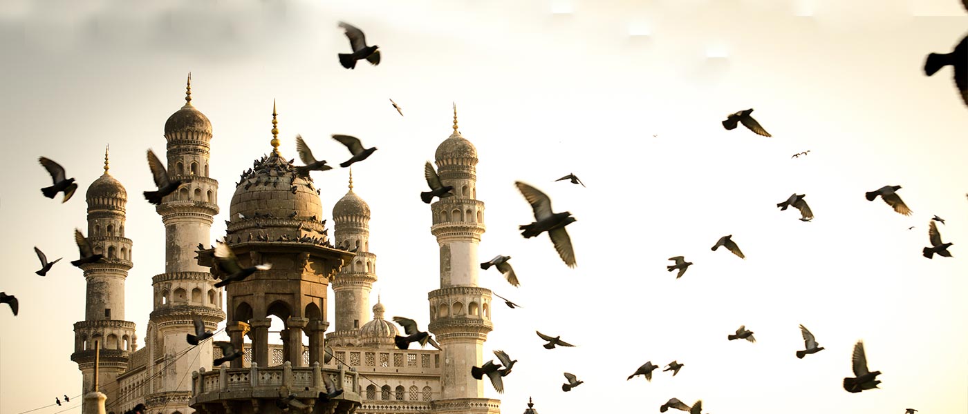 banner-image