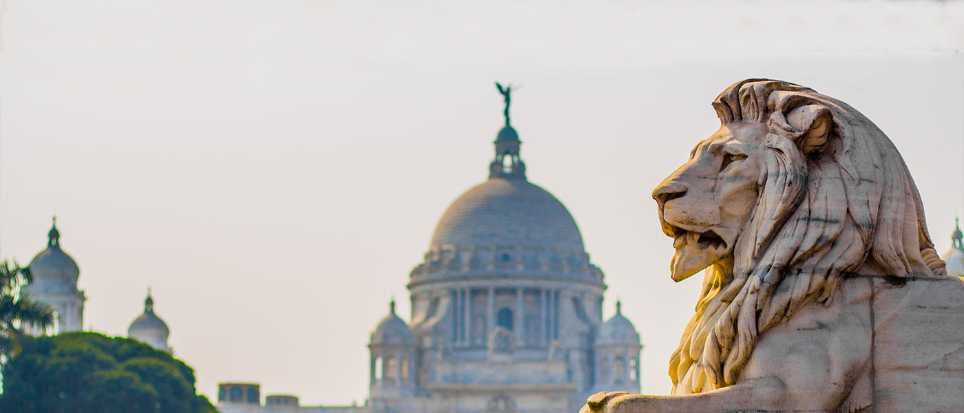 banner-image