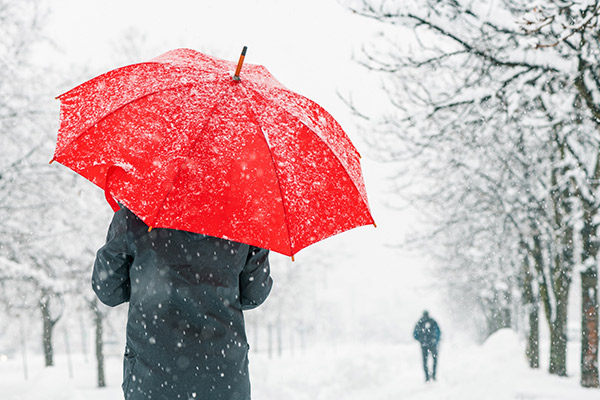 banner-image