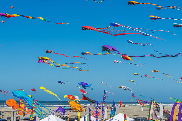 International Kite Festival