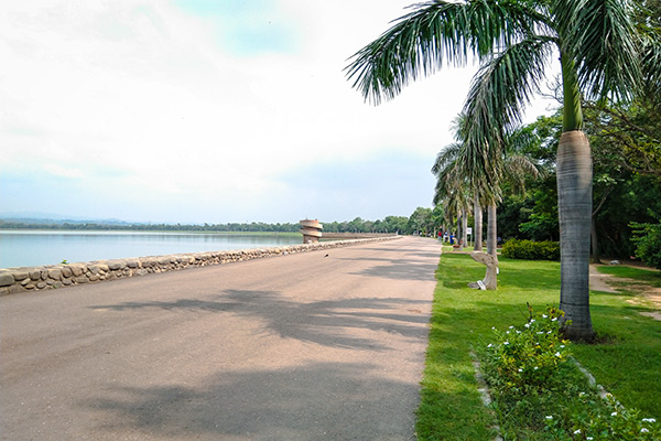 banner-image