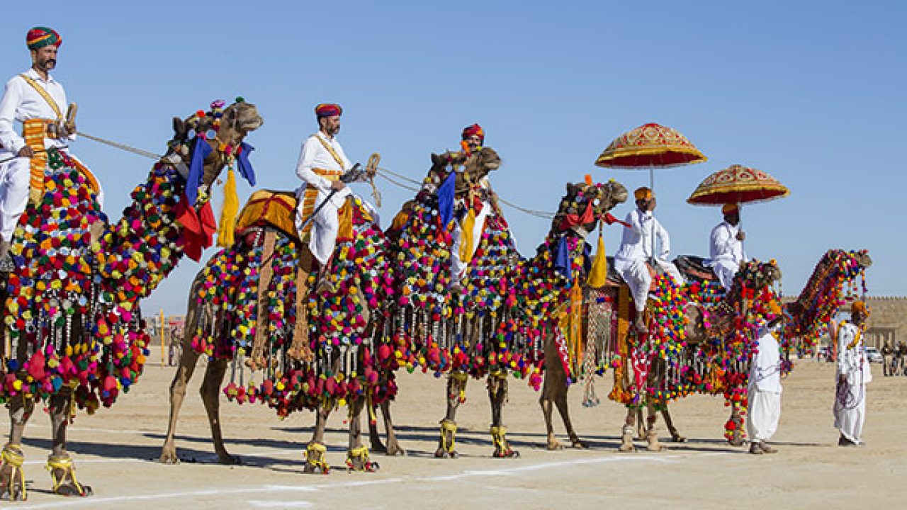 Desert Festival