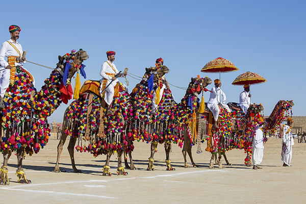 Jaisalmer-Desert-Festival-2020-490