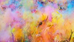 holi-parties-in-Delhi-Ncr